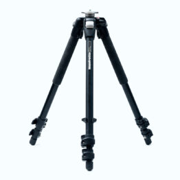 OLX_1884 OLX_1884