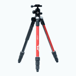 OLX_2688 OLX_2688