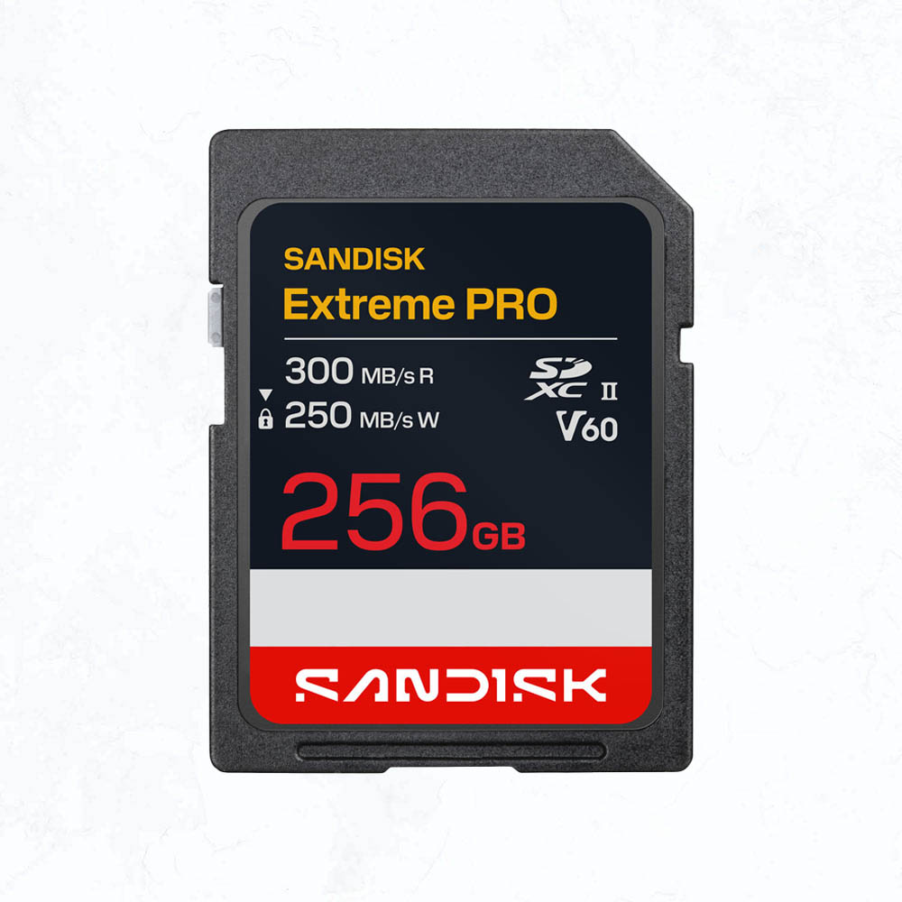 256GИSandV60 256GИSandV60