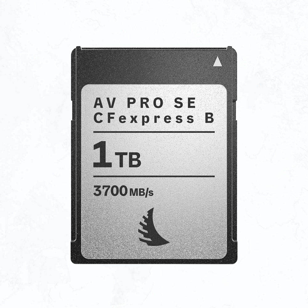 Angelbird 1TB Angelbird 1TB