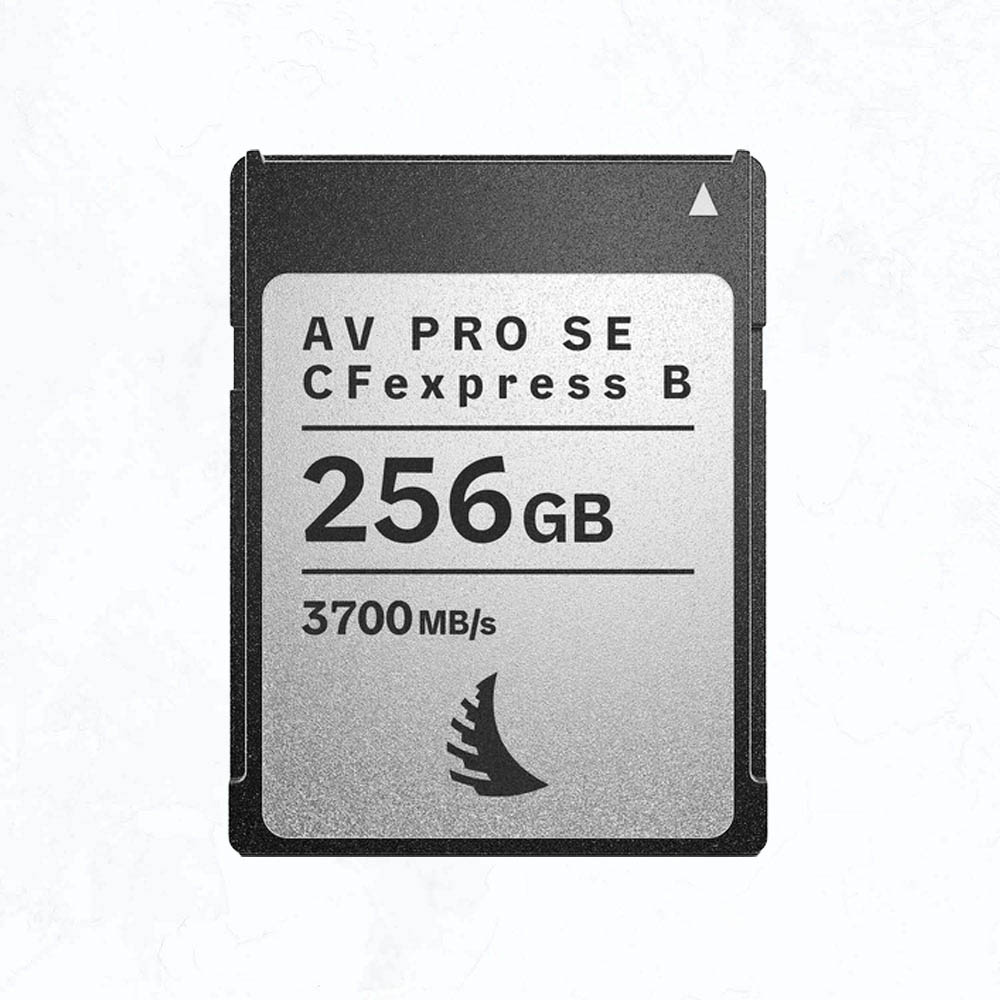 Angelbird 256GB Angelbird 256GB